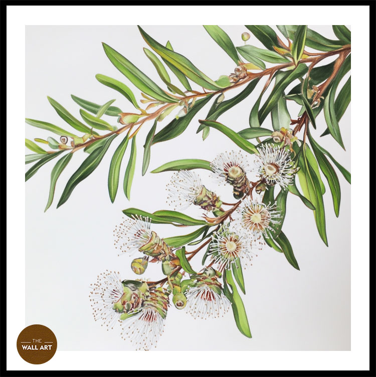 images/products/australian_melaleu_flowers/Australian_Melaleu Flowers_BLACK_PWB.jpg